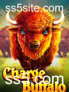 Explorando ChargeBuffalo: Um Novo Horizonte de Entretenimento Digital